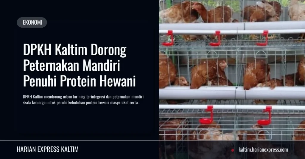 DPKH Kaltim Dorong Peternakan Mandiri Penuhi Protein Hewani