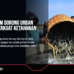 DPKH Kaltim Dorong Urban Farming Perkuat Ketahanan Pangan