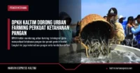 dpkh-kaltim-urban-farming-ketahanan-pangan
