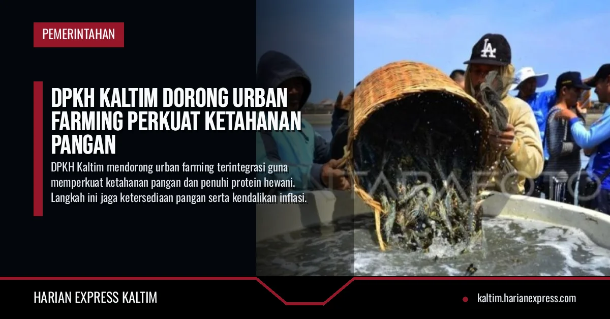 DPKH Kaltim Dorong Urban Farming Perkuat Ketahanan Pangan