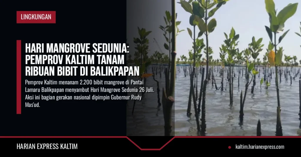 Hari Mangrove Sedunia: Pemprov Kaltim Tanam Ribuan Bibit di Balikpapan