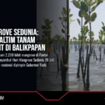Hari Mangrove Sedunia: Pemprov Kaltim Tanam Ribuan Bibit di Balikpapan