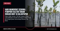 Hari Mangrove Sedunia: Pemprov Kaltim Tanam Ribuan Bibit di Balikpapan