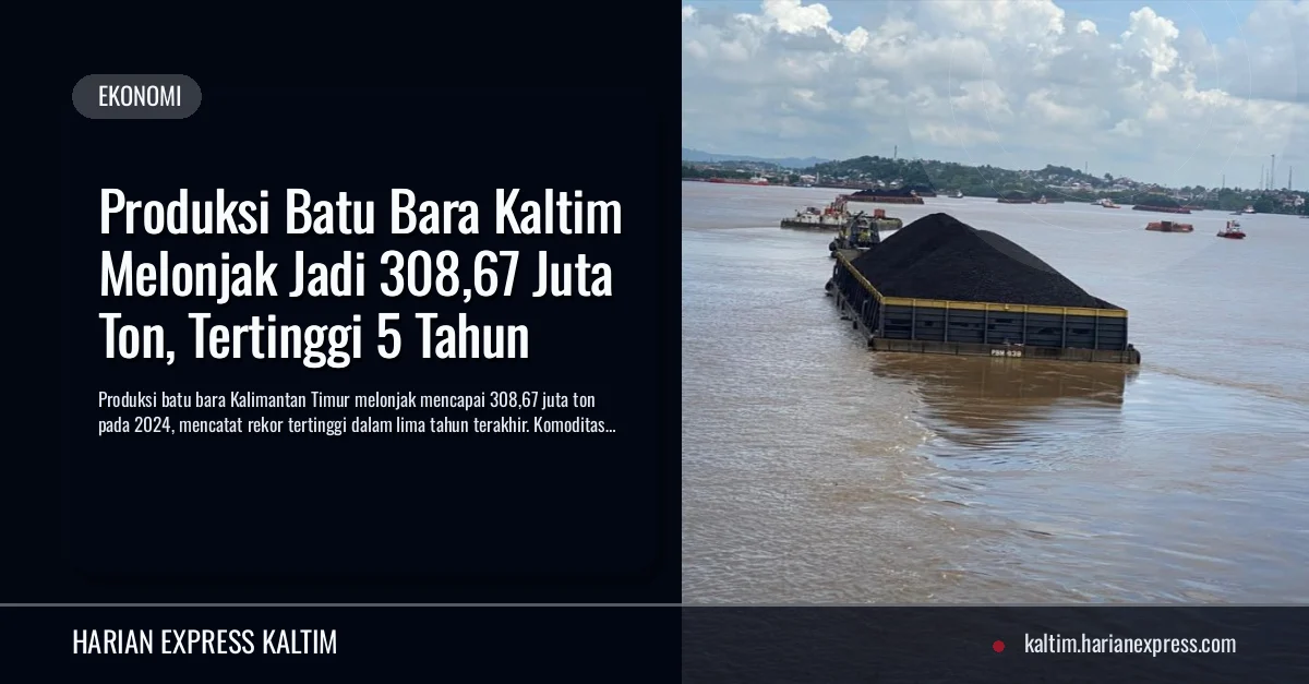 Produksi Batu Bara Kaltim Melonjak Jadi 308,67 Juta Ton, Tertinggi 5 Tahun