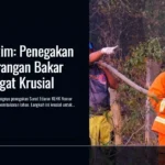 BPBD Kaltim: Penegakan Aturan Larangan Bakar Lahan Sangat Krusial
