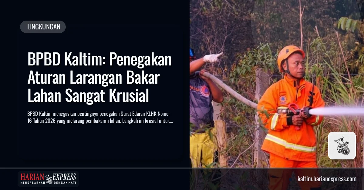 BPBD Kaltim: Penegakan Aturan Larangan Bakar Lahan Sangat Krusial