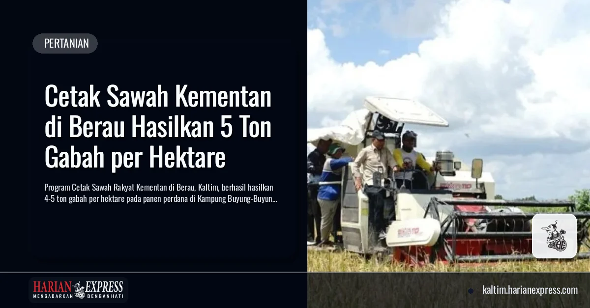 Cetak Sawah Kementan di Berau Hasilkan 5 Ton Gabah per Hektare