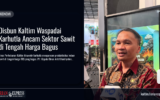 Disbun Kaltim Waspadai Karhutla Ancam Sektor Sawit di Tengah Harga Bagus