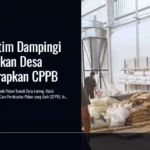 DPKH Kaltim Dampingi Rumah Pakan Desa Loleng Terapkan CPPB