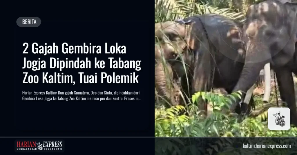 2 Gajah Gembira Loka Jogja Dipindah ke Tabang Zoo Kaltim, Tuai Polemik
