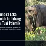 2 Gajah Gembira Loka Jogja Dipindah ke Tabang Zoo Kaltim, Tuai Polemik