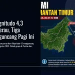 Gempa Magnitudo 4,3 Guncang Berau, Tiga Wilayah Diguncang Pagi Ini