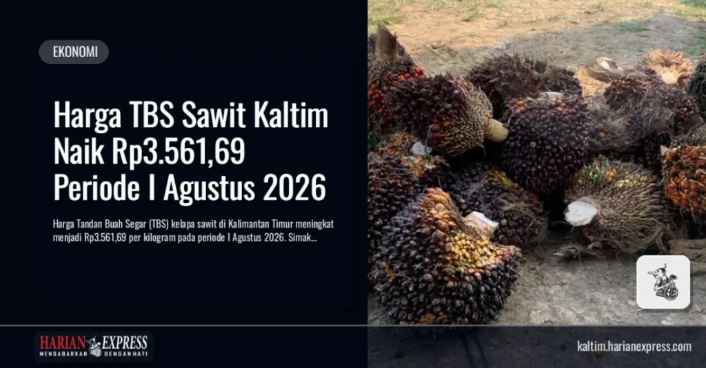 Harga TBS Sawit Kaltim Naik Rp3.561,69 Periode I Agustus 2026