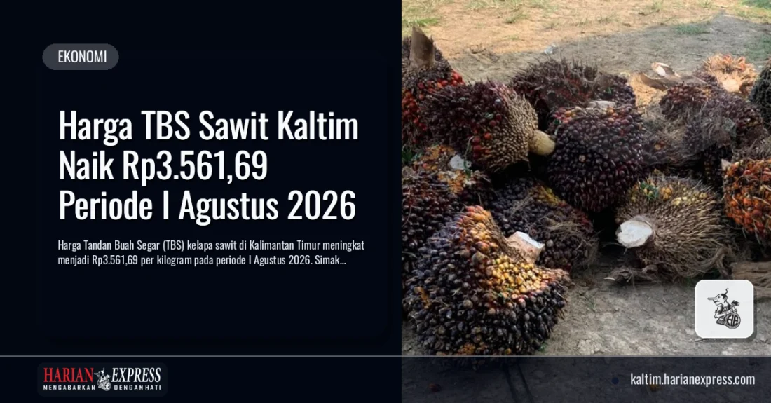 Harga TBS Sawit Kaltim Naik Rp3.561,69 Periode I Agustus 2026