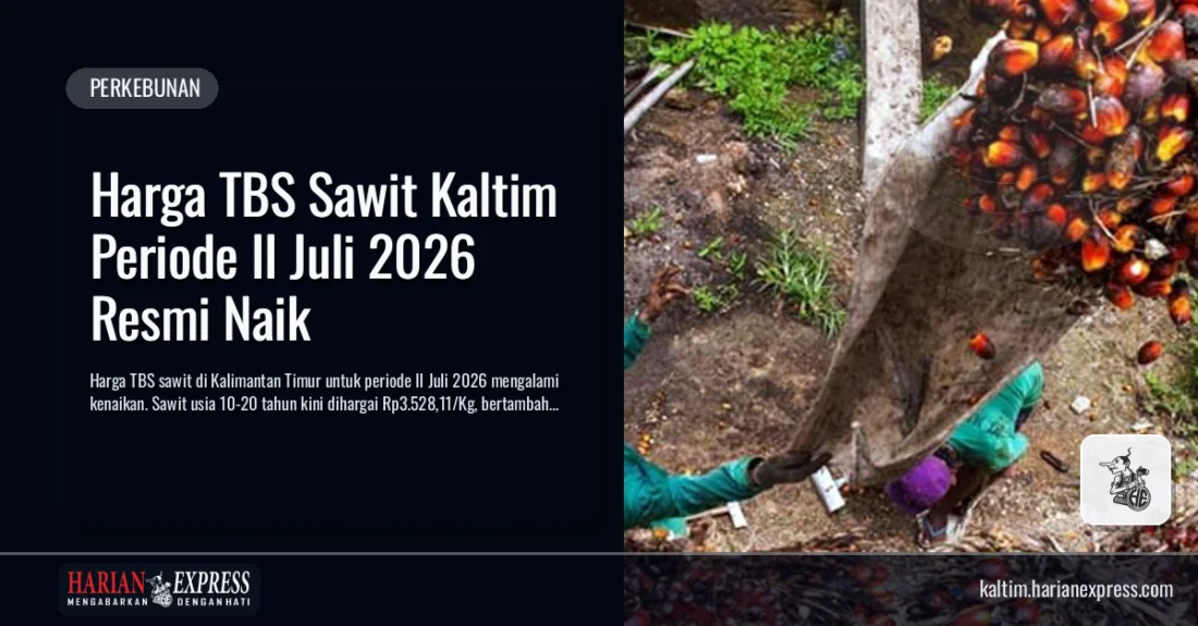 Harga TBS Sawit Kaltim Periode II Juli 2026 Resmi Naik