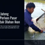 Kaltim dan Jateng Bersinergi Perluas Pasar Digital Produk Olahan Ikan
