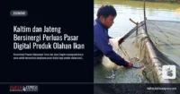 kaltim-jateng-pasar-digital-ikan