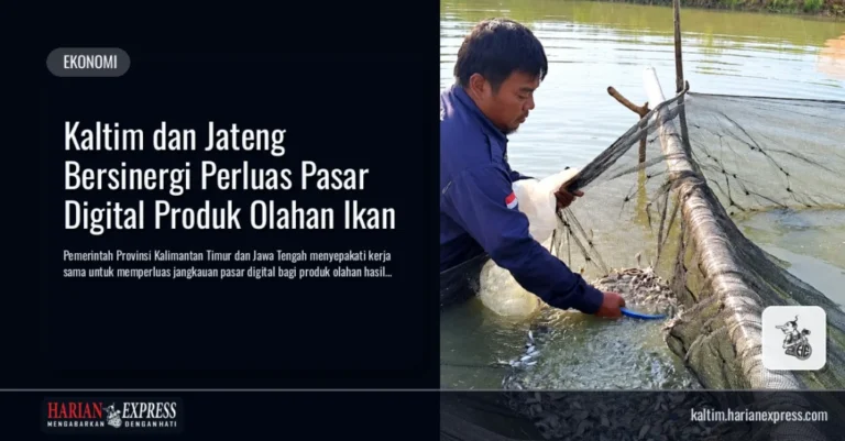 Kaltim dan Jateng Bersinergi Perluas Pasar Digital Produk Olahan Ikan