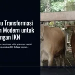 Kaltim Pacu Transformasi Peternakan Modern untuk Dukung Pangan IKN