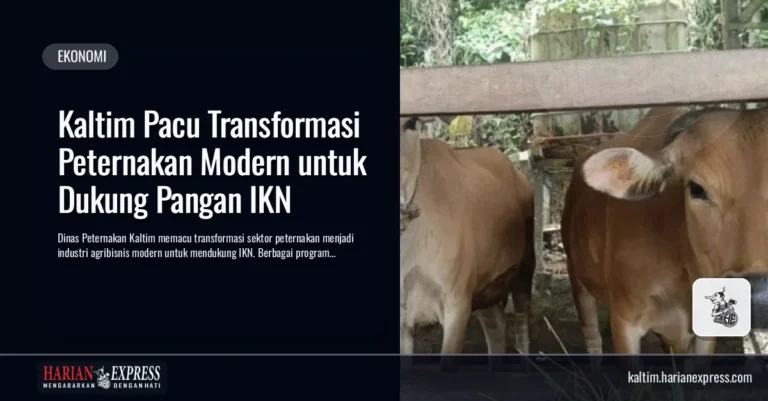 Kaltim Pacu Transformasi Peternakan Modern untuk Dukung Pangan IKN