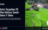 Kutim Targetkan 20 Ribu Hektare Sawah dalam 5 Tahun