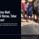Penyu Betina Mati Terbelah di Berau, Telur Diduga Dicuri