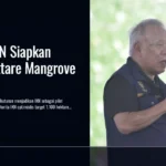 IKN di Kaltim Jadi Percontohan Nasional Rehabilitasi Mangrove