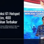bnpb-deteksi-61-hotspot-ikn-kaltim-400-hektare-terbakar