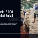 Kaltim Pasok 16.000 Ton Beras dari Sulsel dan Jatim