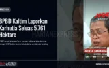 BPBD Kaltim Laporkan Karhutla Seluas 5.761 Hektare