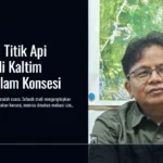 85 Persen Titik Api Karhutla di Kaltim Berada dalam Konsesi