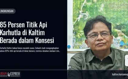 85 Persen Titik Api Karhutla di Kaltim Berada dalam Konsesi