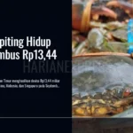 ekspor-kepiting-hidup-kaltim-september-2026