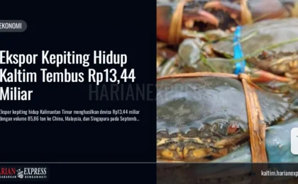 Ekspor Kepiting Hidup Kaltim Tembus Rp13,44 Miliar