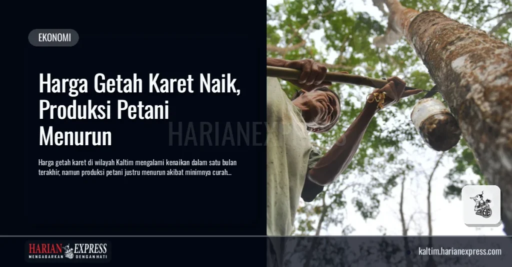 Harga Getah Karet Naik, Produksi Petani Menurun