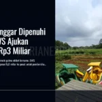 Gambar tambahan: waduk manggar dipenuhi gulma bws ajukan rp3 miliar linkedin gradient